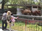 thumbs/Zoo5.JPG.jpg